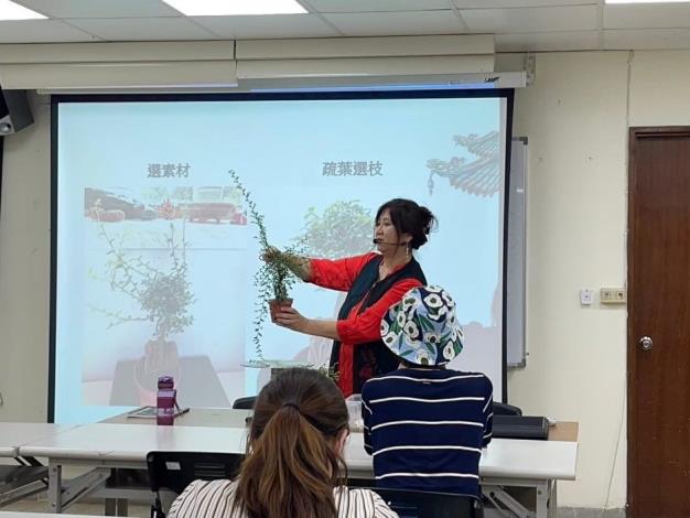 圖6.學習盆景的基本原則和技巧，環保愛地球由種下你的第一棵樹開始。