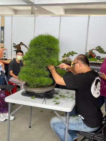 圖4 .從澆水到修剪，跟著專家一起輕鬆掌握盆栽秘訣