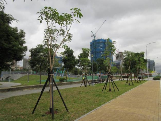 圖3、承德路6段兩側綠地內新植「洋紅風鈴木」景觀廊道，開花時遠看具有彷如粉紅繡球般的浪漫景觀，期許造就成熱門景點。