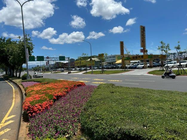 圖2. 承德路盛開的矮仙丹與千日紅相遇