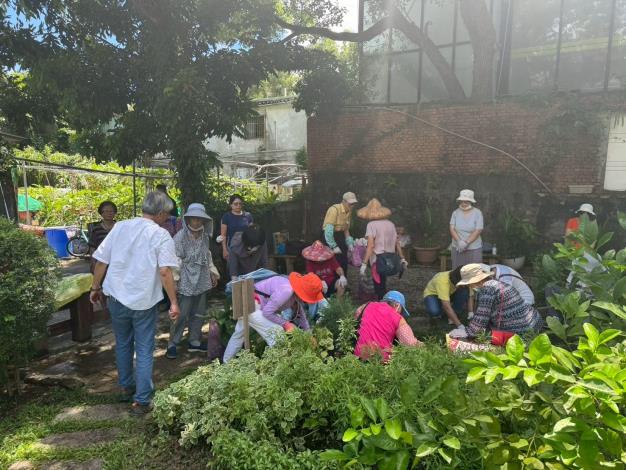 圖2.學員們在講師指導下修剪香草