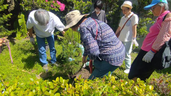 圖3.新種植澳洲茶樹，提升香草種類豐富度。