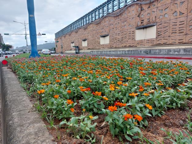 圖2這一塊基地，公園處特別選用色調溫暖又討喜的桃色與橘色花系百日草，佈置有如秋日花園裡的萬聖節。