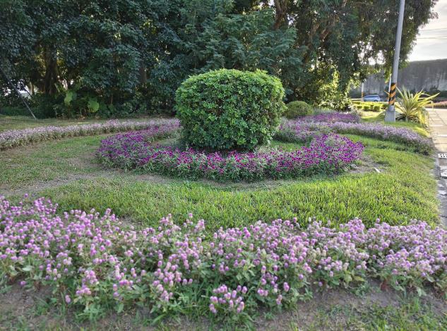 圖7.千日紅的花色表現佳，拼色方式也能展現不同的空間氣質