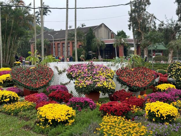 圖5 . 形態變化多端及各色繽紛的菊花，豐富士林官邸菊展展場(圖為資料照)