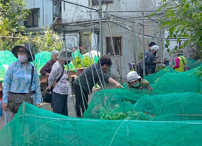 圖3.在昆蟲專業的老師帶領下學員在田間尋找害蟲出沒的蛛絲馬跡。