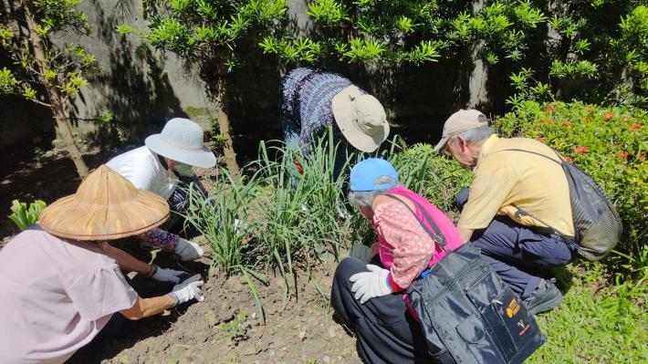 圖4. 經過整備課程更新香草園種植種類,參與者藉由身體勞動得到心理滿足,環境更加整潔吸引更多居民願意參與田園城市相關活動。