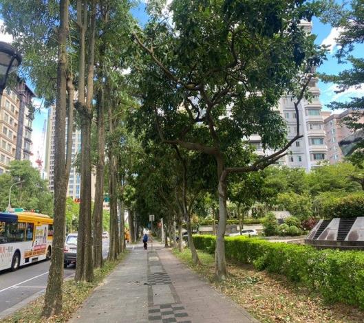 公園處加強修剪疏枝，積極做好防災整備 (4)