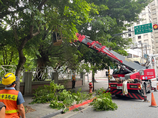 公園處加強修剪疏枝，積極做好防災整備 (2)
