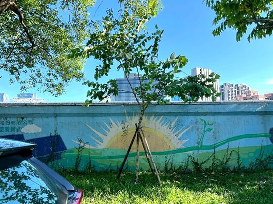 公園處加強立支柱，積極做好防災整備 (3)