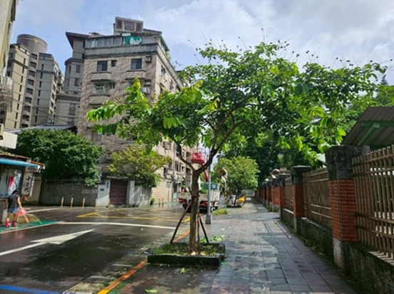 公園處加強立支柱，積極做好防災整備 (4)