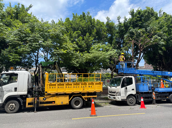 公園處加強修剪疏枝，積極做好防災整備