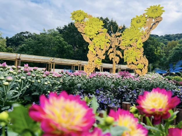 圖5. 「蛻菊」藝術裝置，象徵每個夢想都需經過破蛹歷程才能展翅高飛。