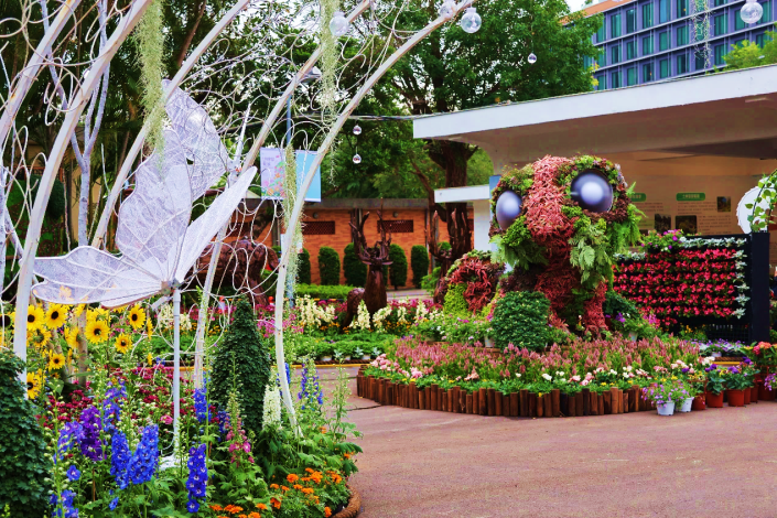 圖2. 夢花園以變色龍花傻傻為主角，講述追尋自我的夢想