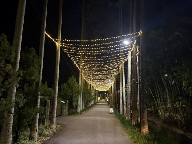 圖2_2025士林官邸菊展夜間實景