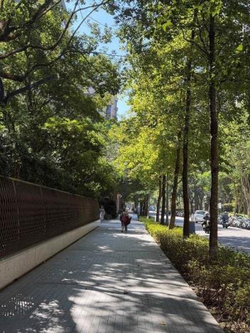 (圖5) 在水泥叢林中藉營造出筆直又美觀林蔭，是藉由臺北市政府公園處與民間企業公私協力過程產生，為企業ESG創立良好標竿(中華工程股份有限公司提供照片)