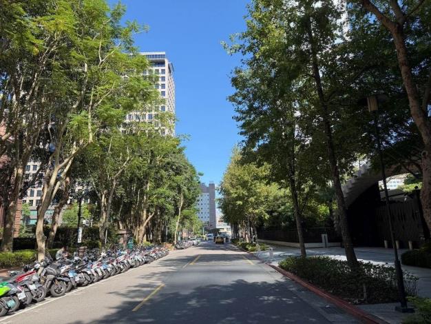 (圖3) 松高路、松勇路交叉口24株楓香，營造當地舒適通行空間(中華工程股份有限公司提供照片)