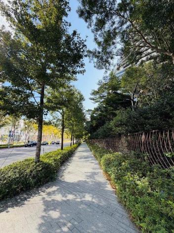 (圖4) 松高路、松勇路交叉口24株楓香，營造當地舒適通行空間(中華工程股份有限公司提供照片)