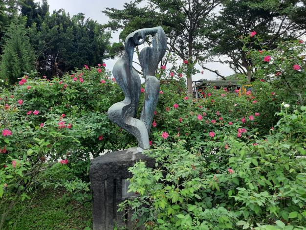 圖3Madame Antoine Rebe紅色混合、複花，香味濃鬱。