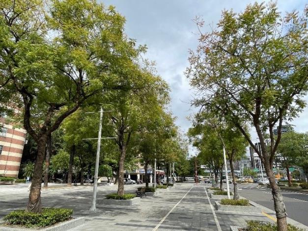 (圖片9)筆直黃連木搭配宮粉仙丹綠美化