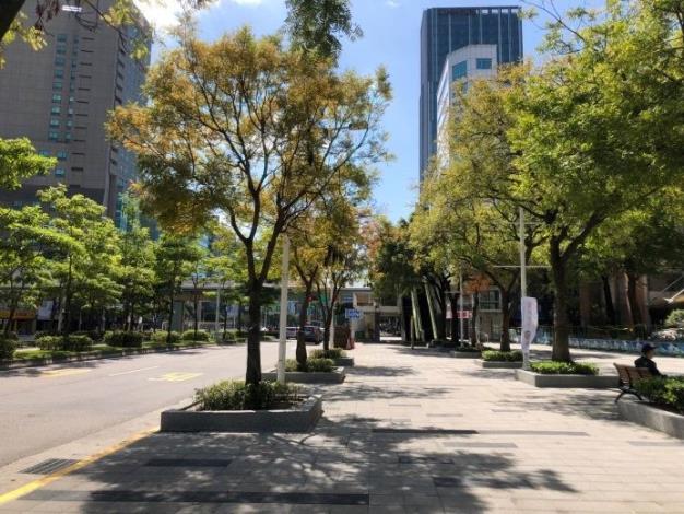 (圖片10)林蔭大道黃連木黃橘紅葉浪漫