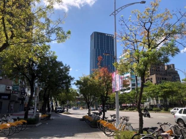 (圖片6)漫步街區感受黃連木林蔭大道