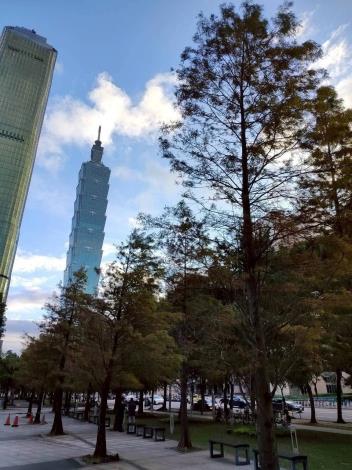 (圖5) 繁忙都會區中松智公園也有落雨松秘境