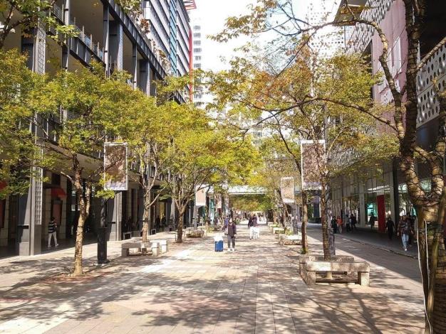 (圖8) 而香堤大道廣場上直挺又多變的櫸木行道樹更為周邊帶來景觀昇華