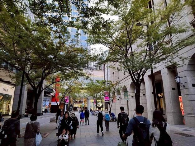 (圖3) 筆直櫸木營造出都市中難得的休憩空間，讓人身心放鬆