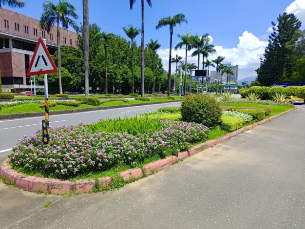 圖片12：日日春、狐尾武竹、金露華等不同高度質感錯落搭配， 營造出豐富且有節奏感的街道綠意