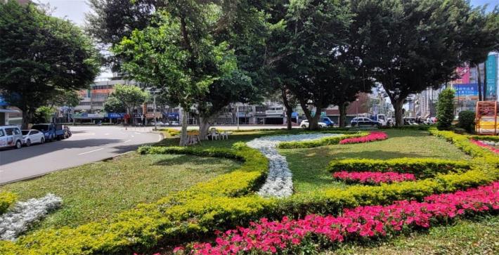 圖片13：承德路四段與中正路口銀葉菊、矮牽牛