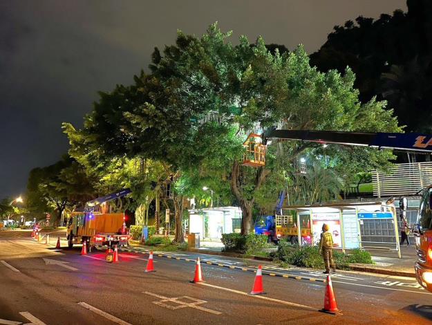 圖片17：高空作業車樹木修剪前