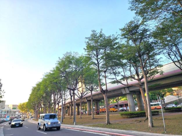 圖片16：西安街二段-修剪後