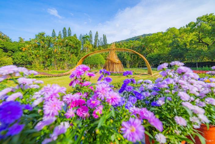 圖片23：將城市公共空間轉化為融合花卉景觀與生活美學的城市舞台