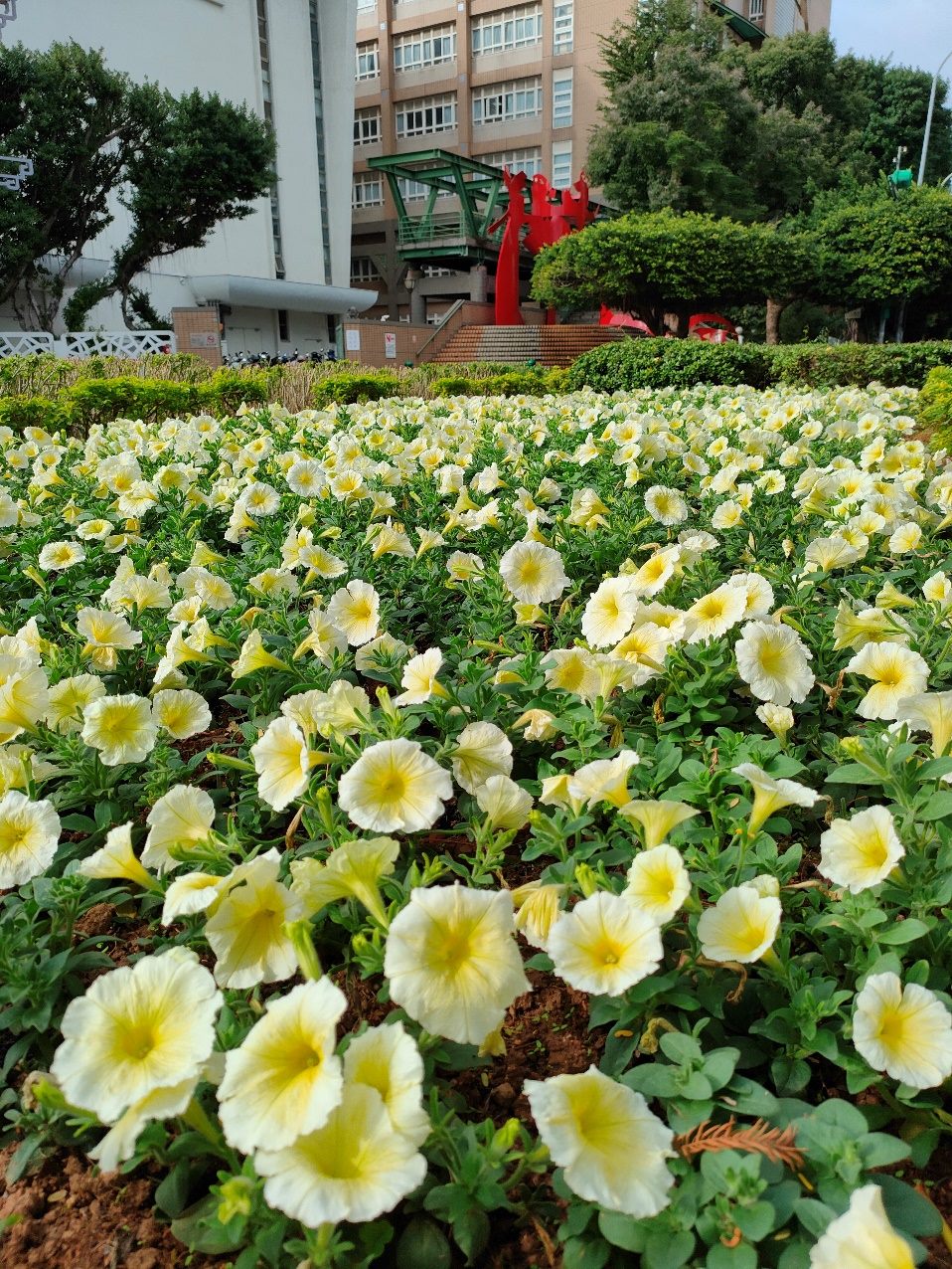 圖片來源：臺北市政府