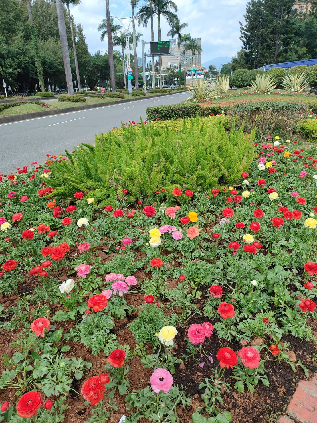 圖片來源：臺北市政府