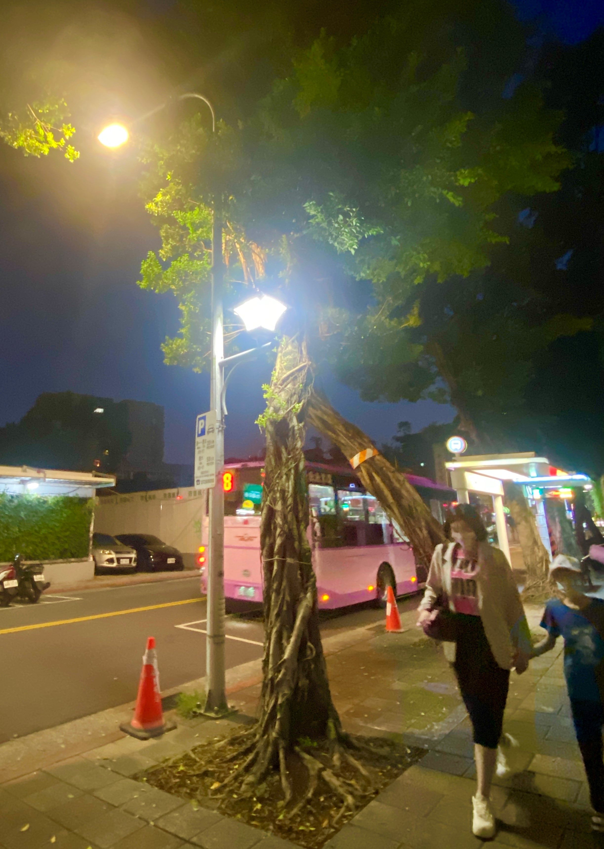 圖片來源：臺北市政府