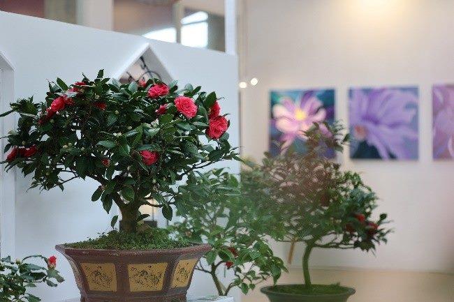 室內展場展示茶花盆景與藝術畫作，融合園藝與藝術之美。