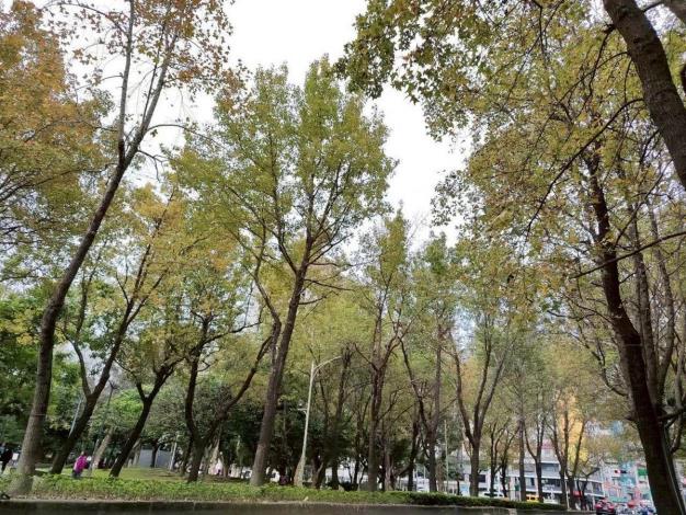 (圖6)不管是晴天還是陰天，隨便拍都很美(林森公園、康樂公園)