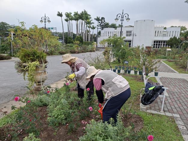 圖8志工修剪枯枝和謝花