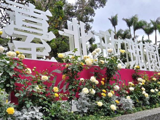 圖5. 2025臺北玫瑰展玫瑰園盛開照