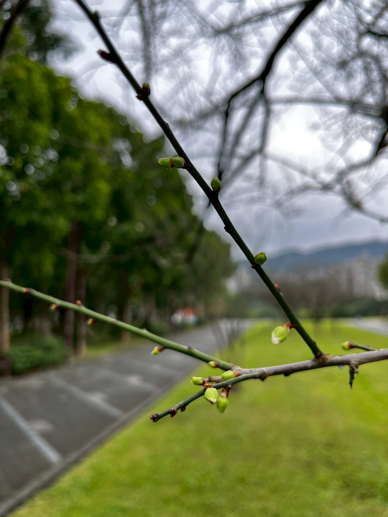 圖片來源：臺北市政府