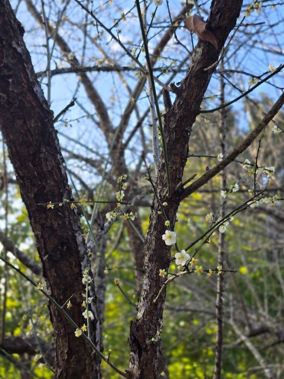 圖片來源：臺北市政府