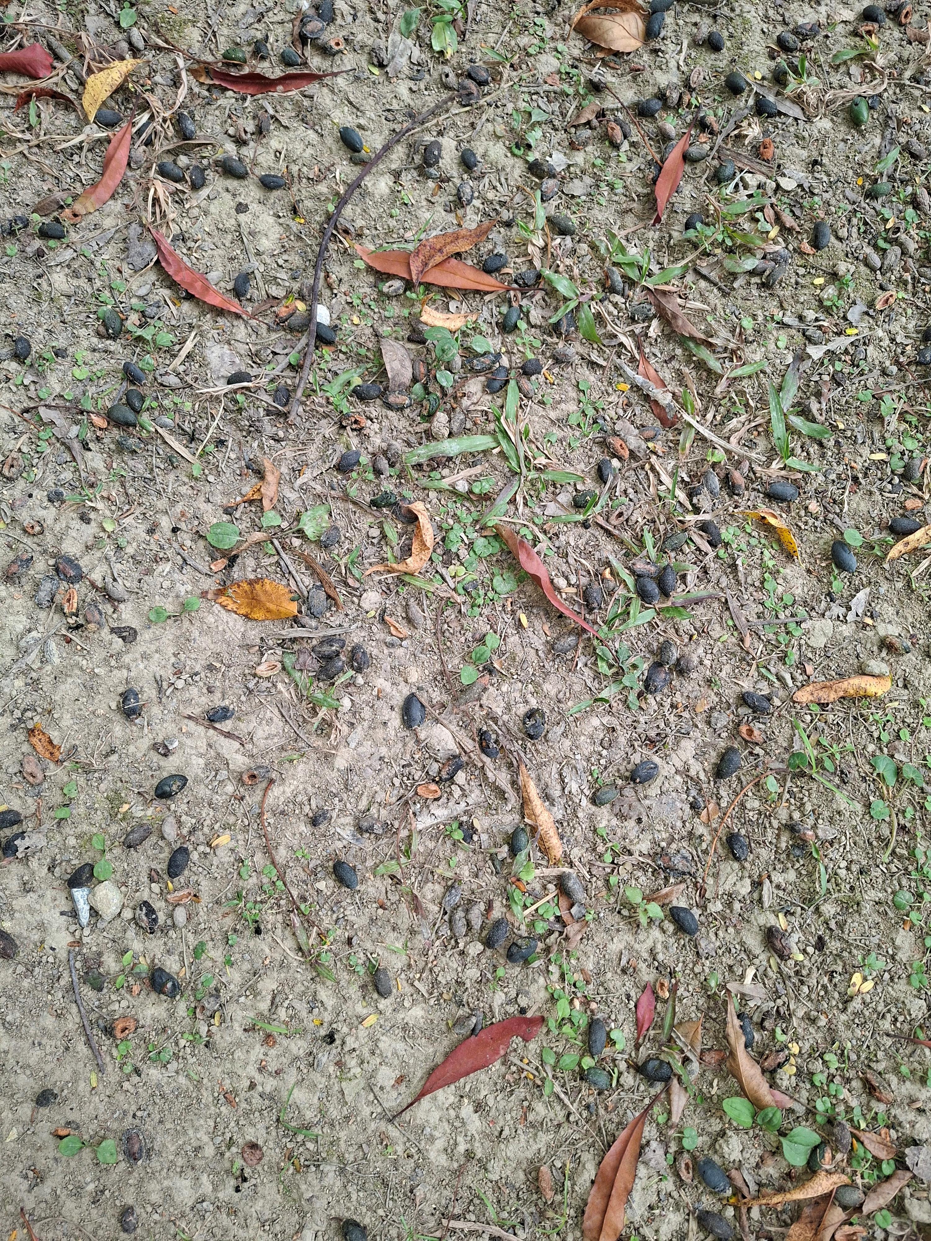 圖片來源：臺北市政府