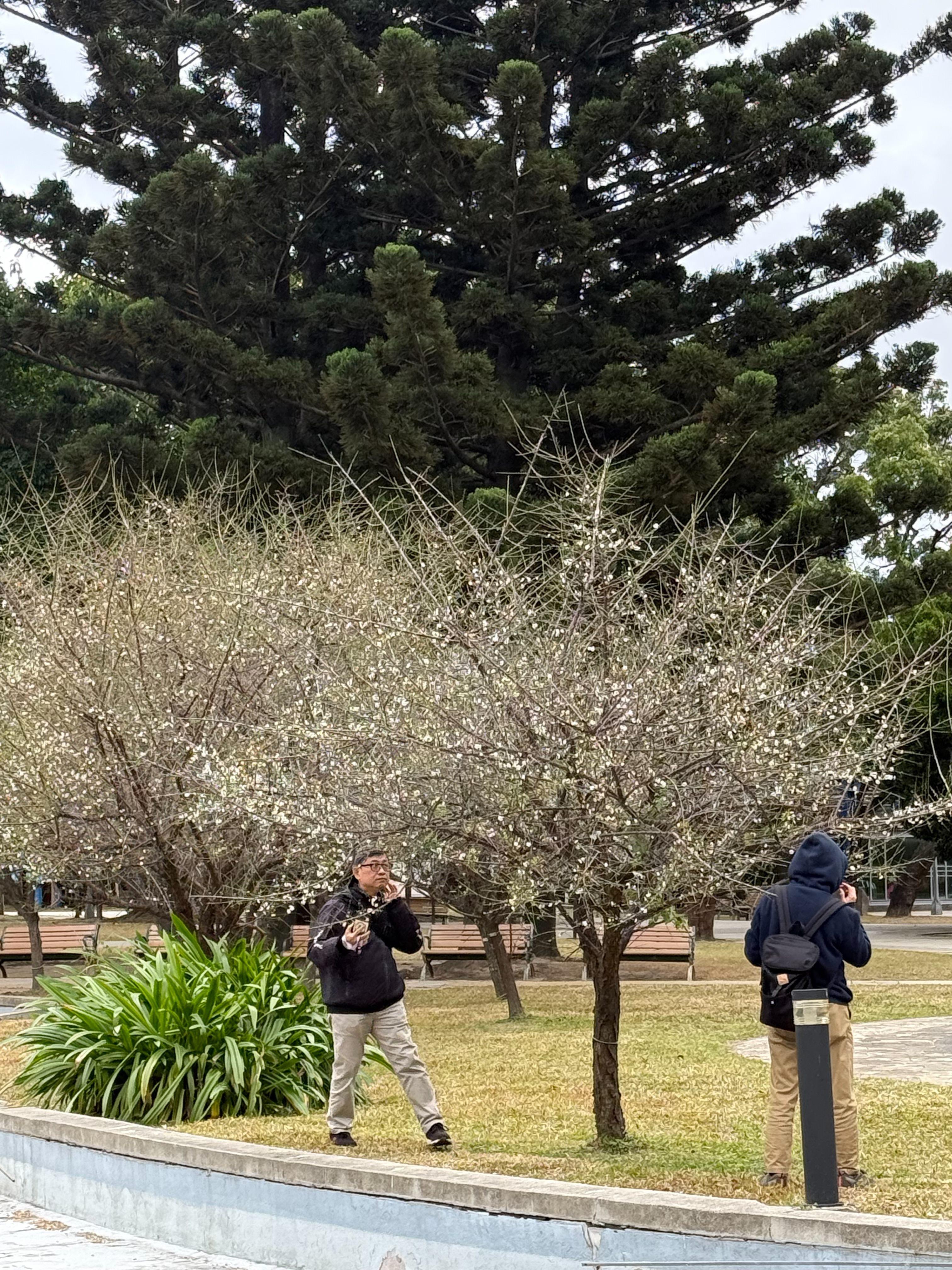 圖片來源：臺北市政府