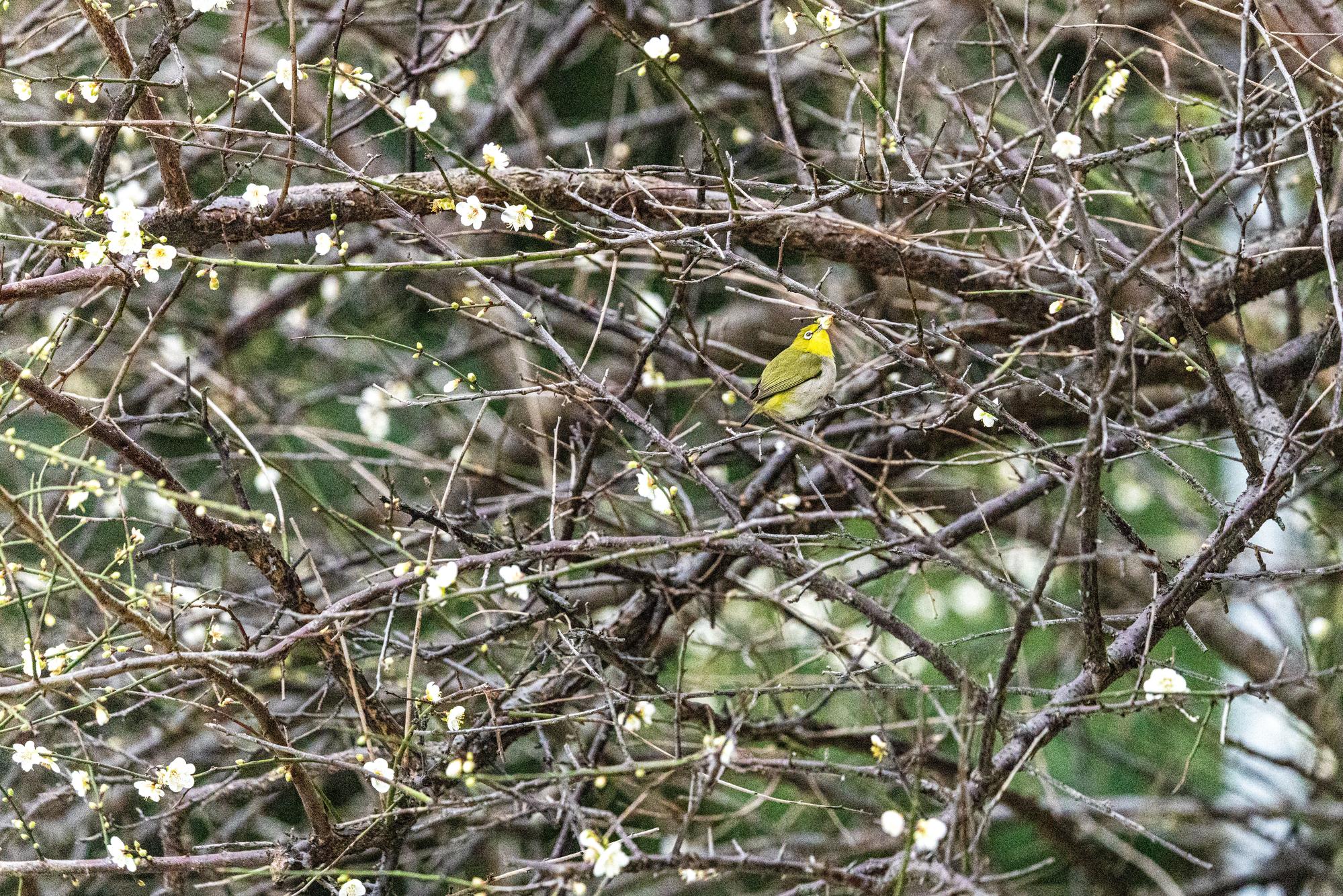 圖片來源：臺北市政府