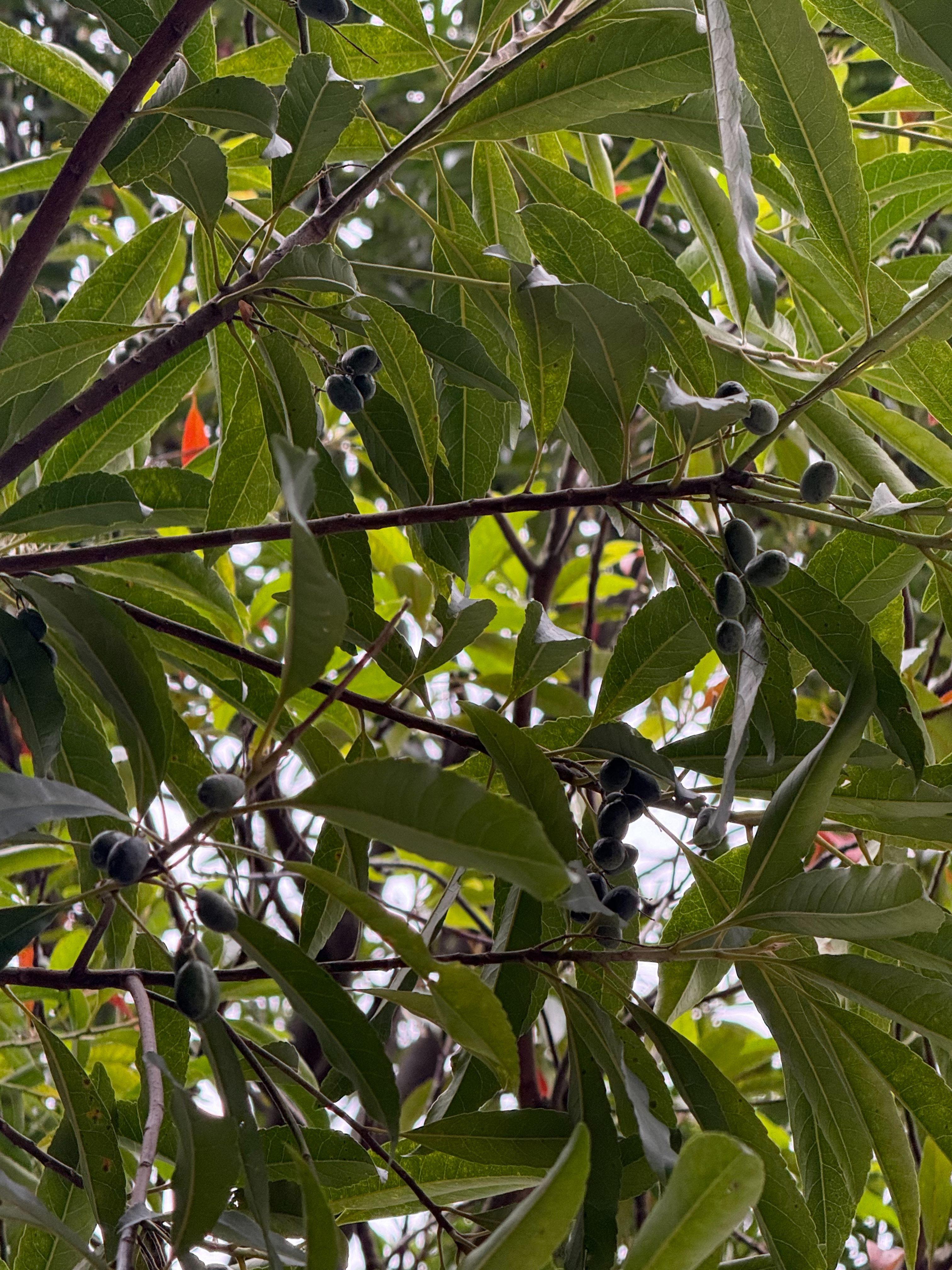 圖片來源：臺北市政府