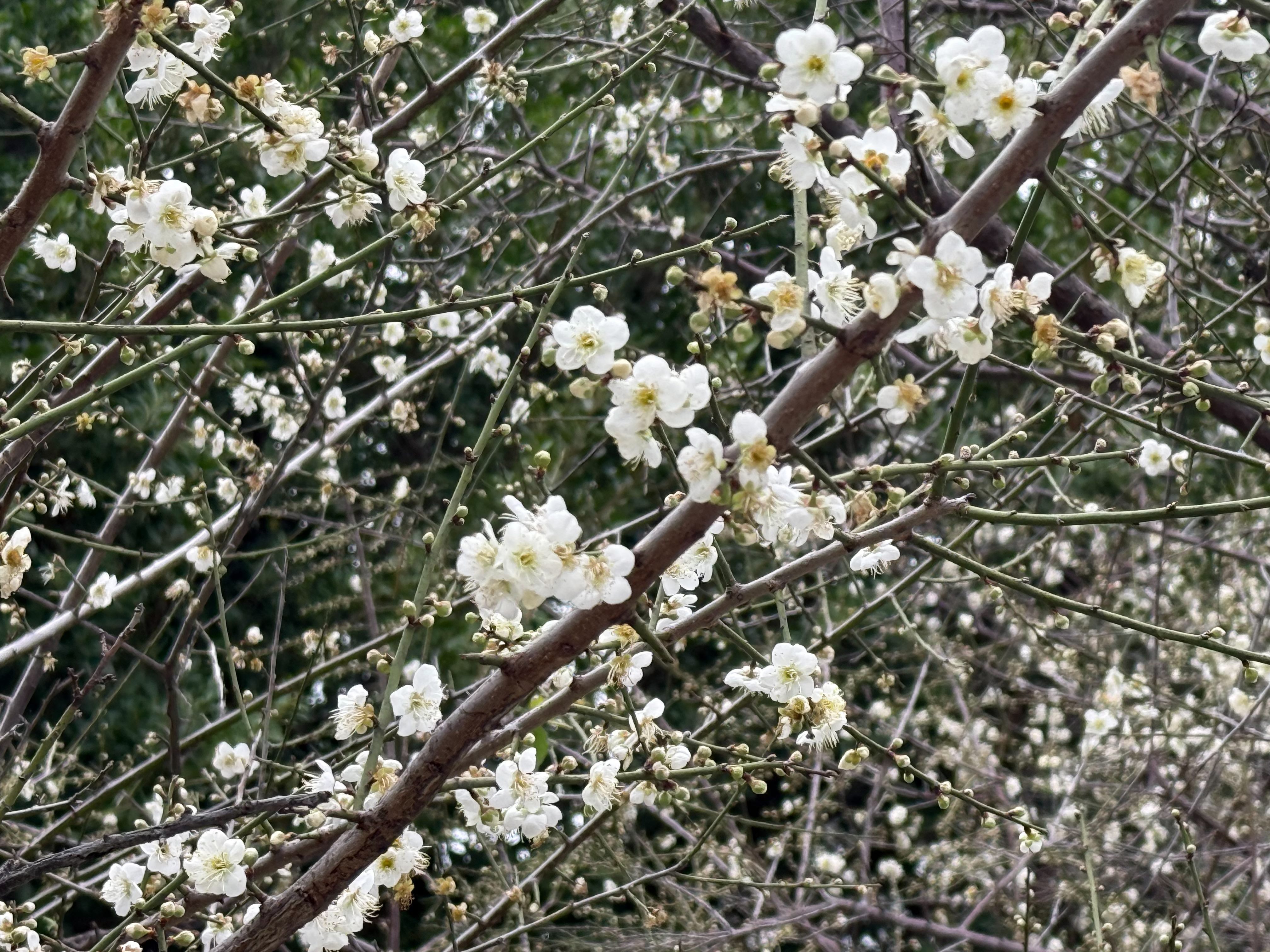 圖片來源：臺北市政府