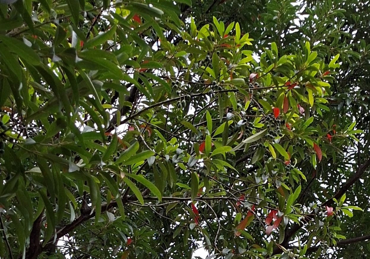 圖片來源：臺北市政府