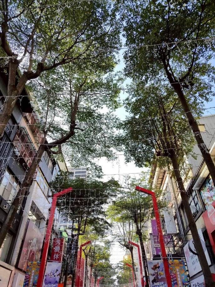 圖片來源:臺北市政府